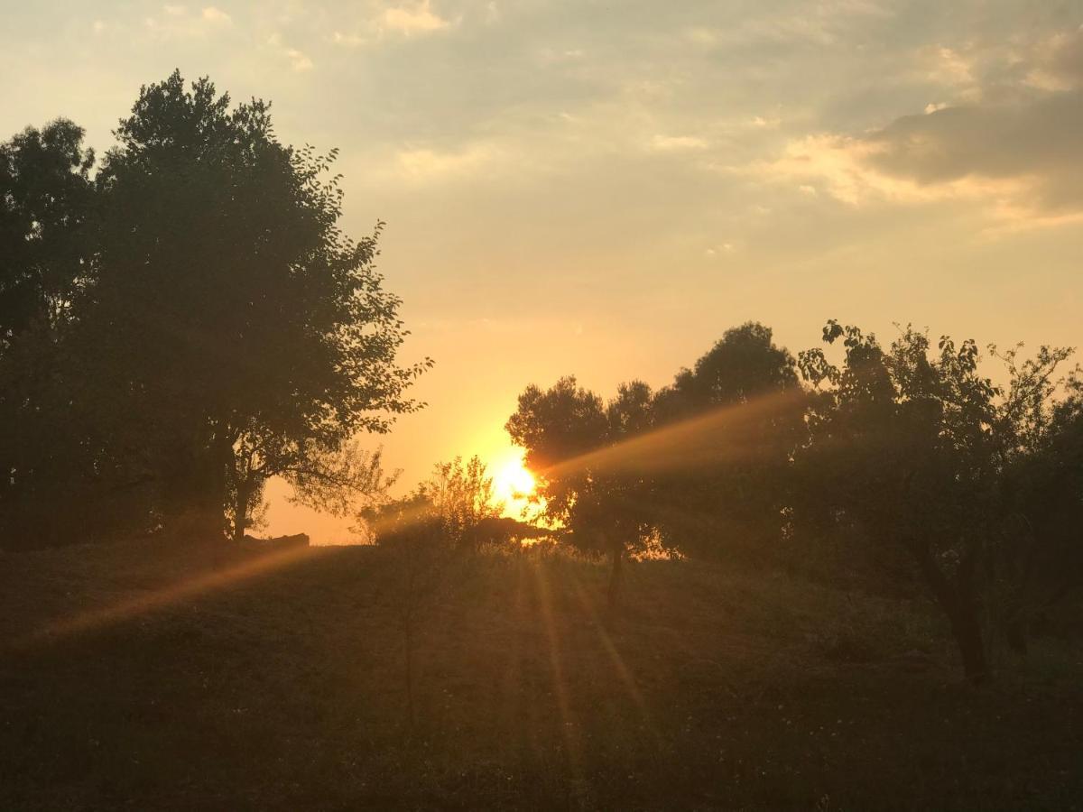 La Dei Sogni Nel Parco * Roma